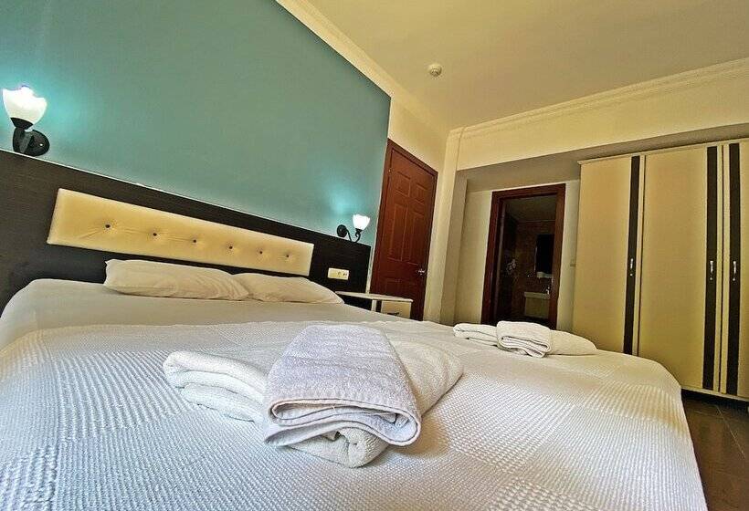 スタンダードルーム, Zehra