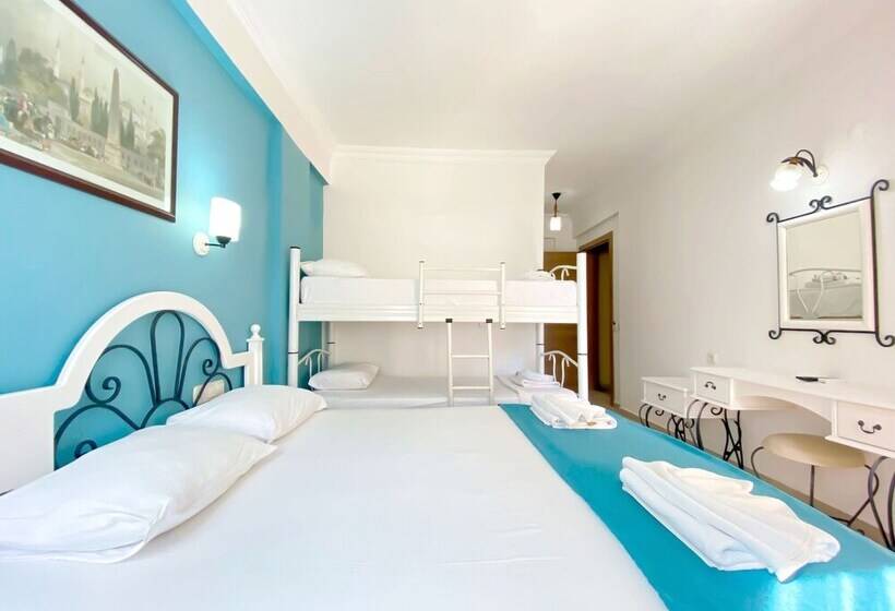 スタンダードルーム, Zehra