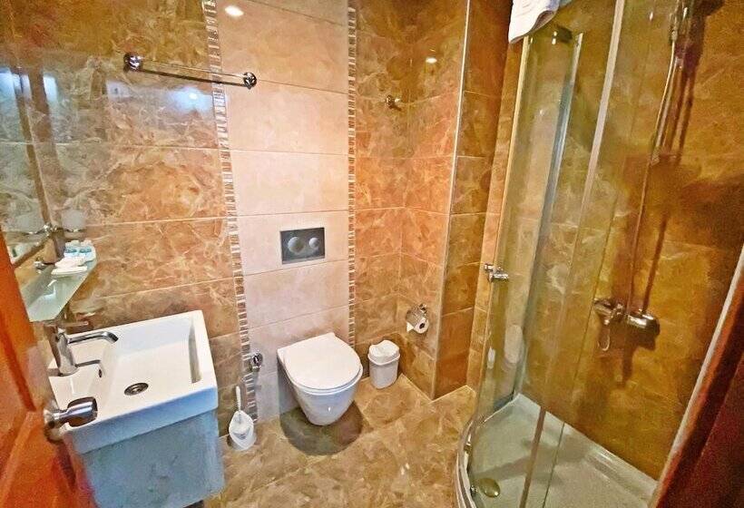 スタンダードトリプルルーム, Zehra