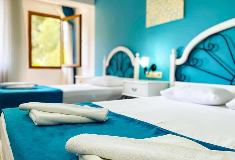 スタンダードトリプルルーム, Zehra