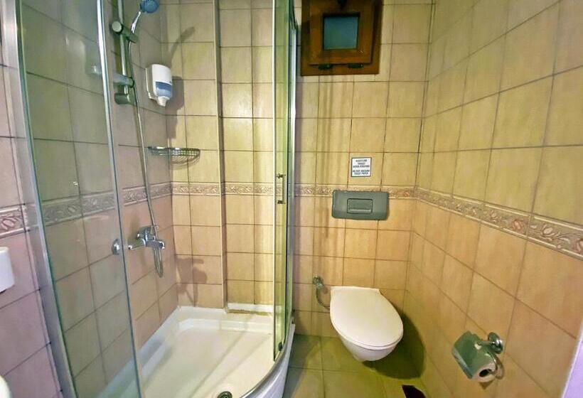 スタンダード４人部屋, Zehra