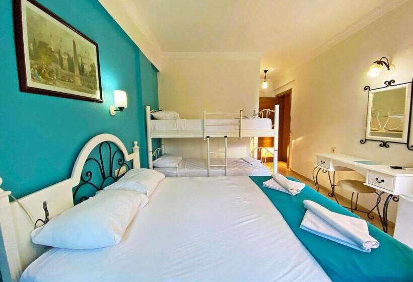 スタンダード４人部屋, Zehra