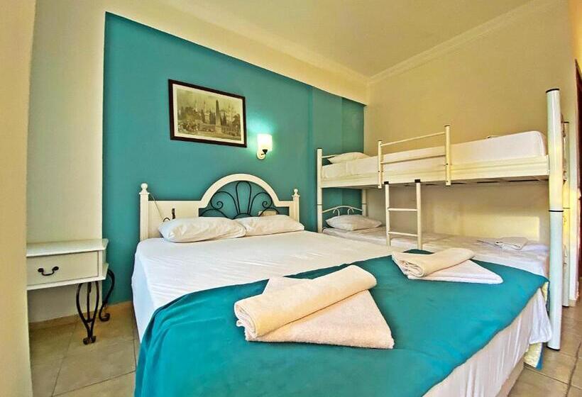 スタンダード４人部屋, Zehra