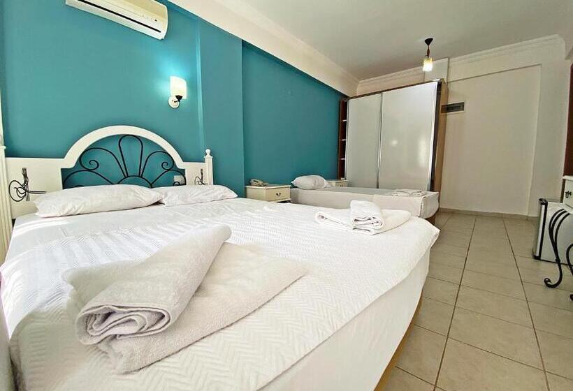 スタンダードトリプルルーム, Zehra