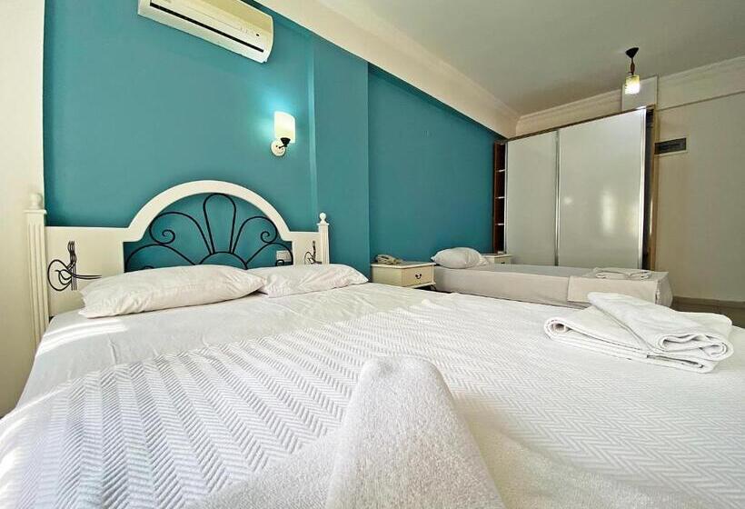 スタンダードトリプルルーム, Zehra