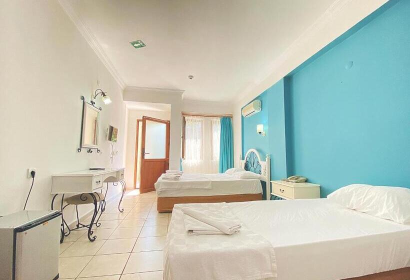 スタンダードトリプルルーム, Zehra