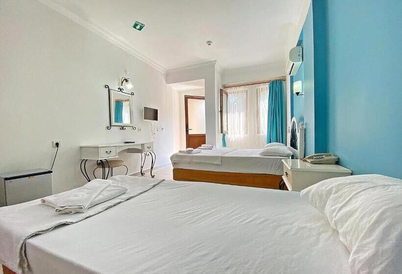 スタンダードトリプルルーム, Zehra