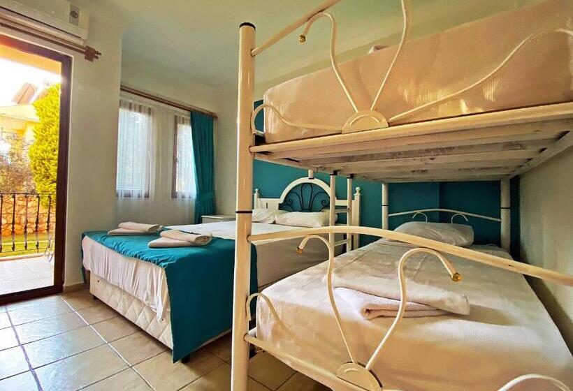 スタンダード４人部屋, Zehra