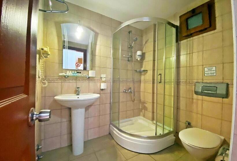 スタンダード４人部屋, Zehra