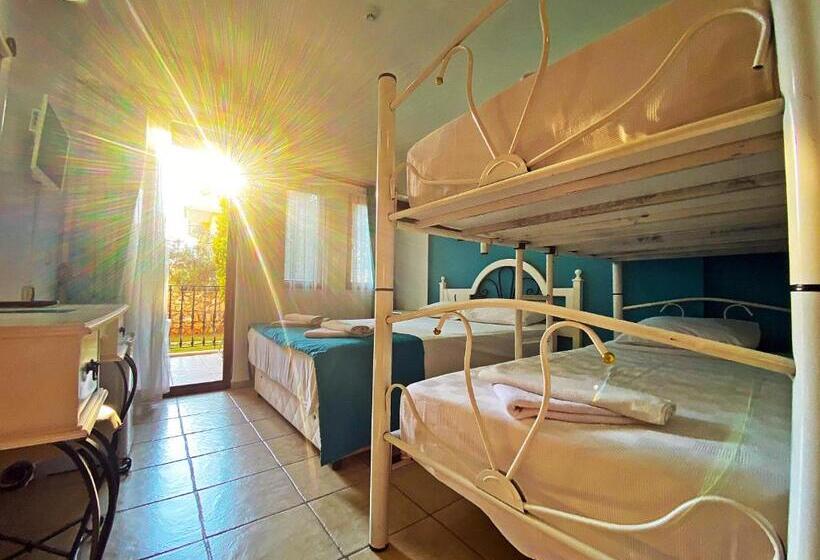 スタンダード４人部屋, Zehra