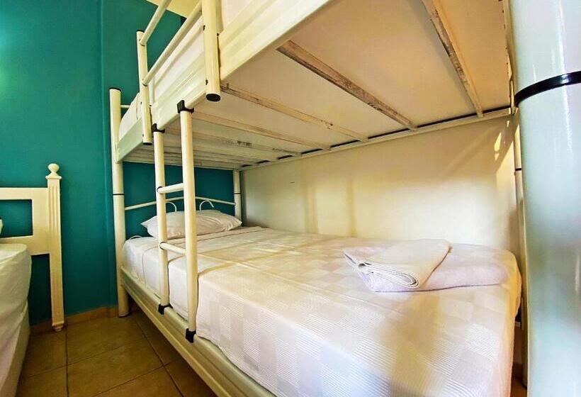 スタンダード４人部屋, Zehra