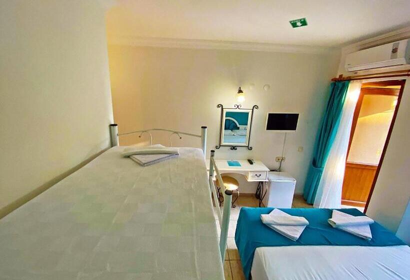 スタンダード４人部屋, Zehra