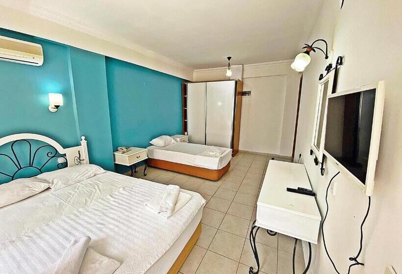 スタンダードトリプルルーム, Zehra