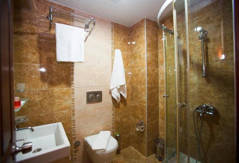 スタンダード４人部屋, Zehra