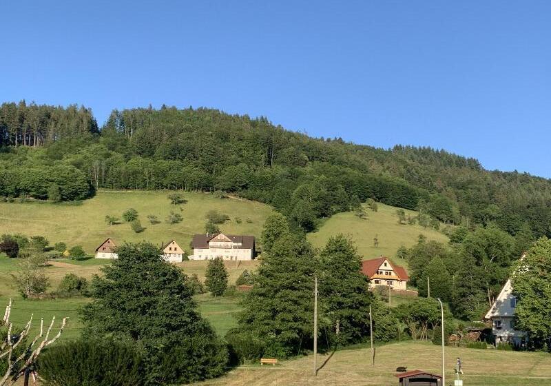 ファミリールーム, Zehra