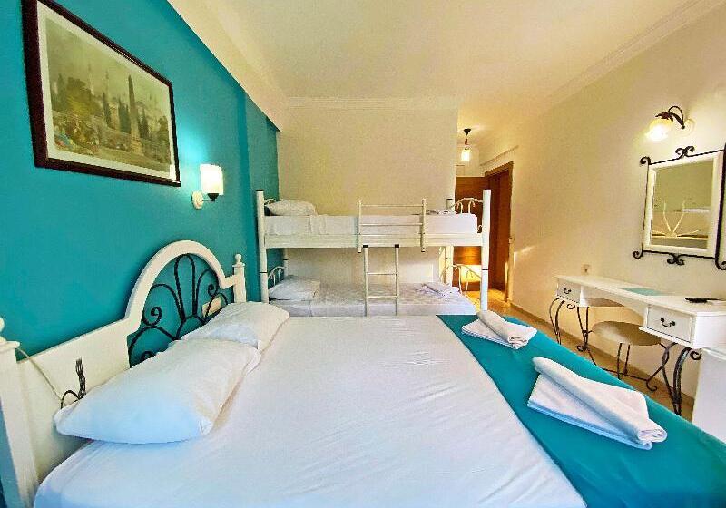 スタンダードルーム, Zehra