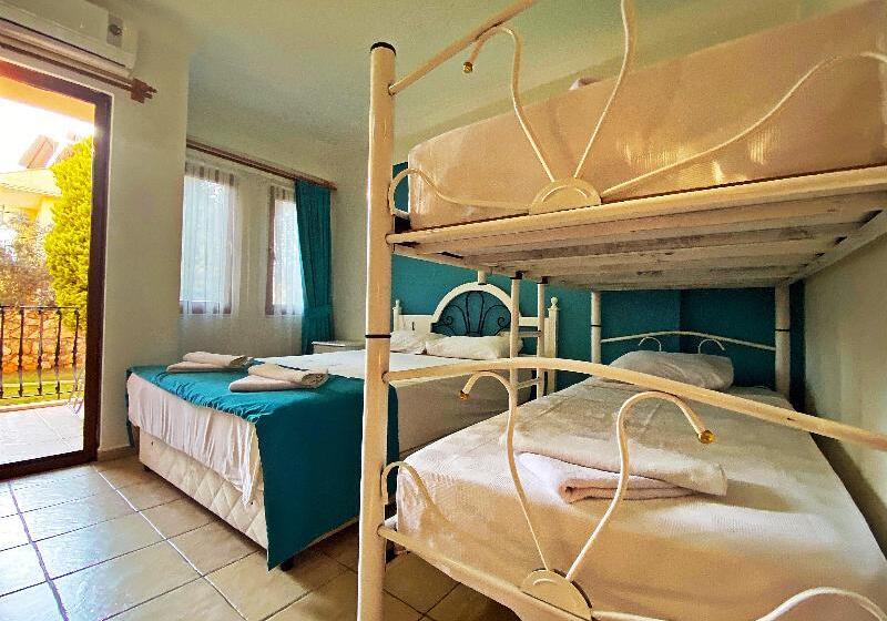 スタンダードルーム, Zehra