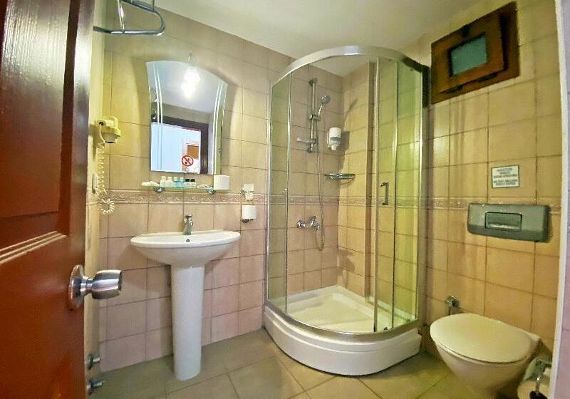 スタンダードルーム, Zehra