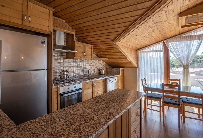 Apartament 1 Dormitori, Xox Apart