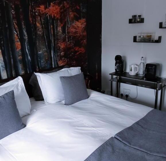 스탠다드 룸, Ambassador Guest House Bed And Breakfast