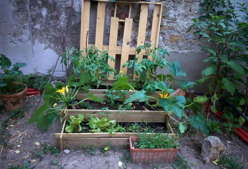 Bahçe Manzaralı 1 Yatak Odalı Daire, Art Home Bnb