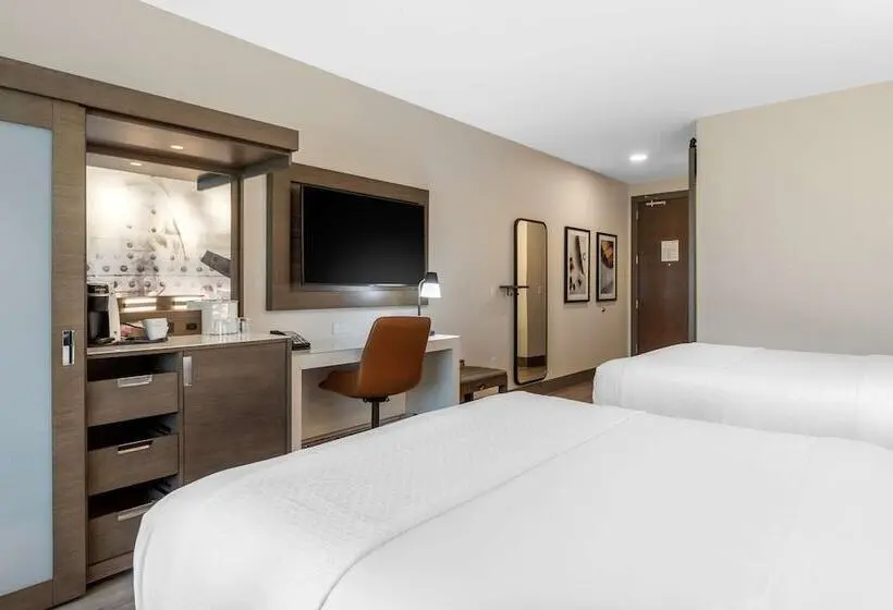 ２ダブルベッドのスタンダードルーム, Cambria Hotel   Arundel Mills Bwi Airport