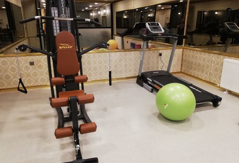 اتاق استاندارد, Savona Otel Sivas