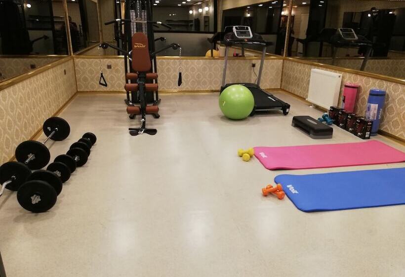 اتاق استاندارد, Savona Otel Sivas