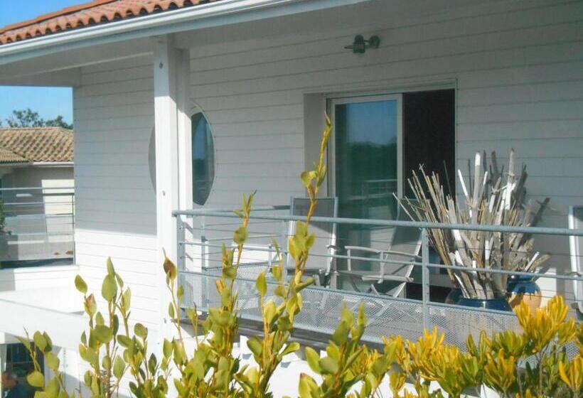 Standard-huone Parveke, Chambres D Hôtes Côte & Dune