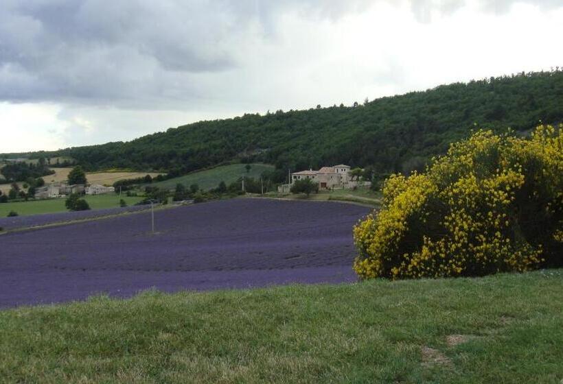 חדר סטנדרט, La Maison Bleue