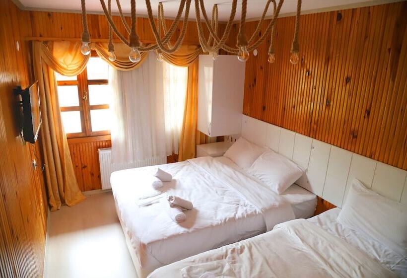 اتاق اکونومی, Sumela Holiday