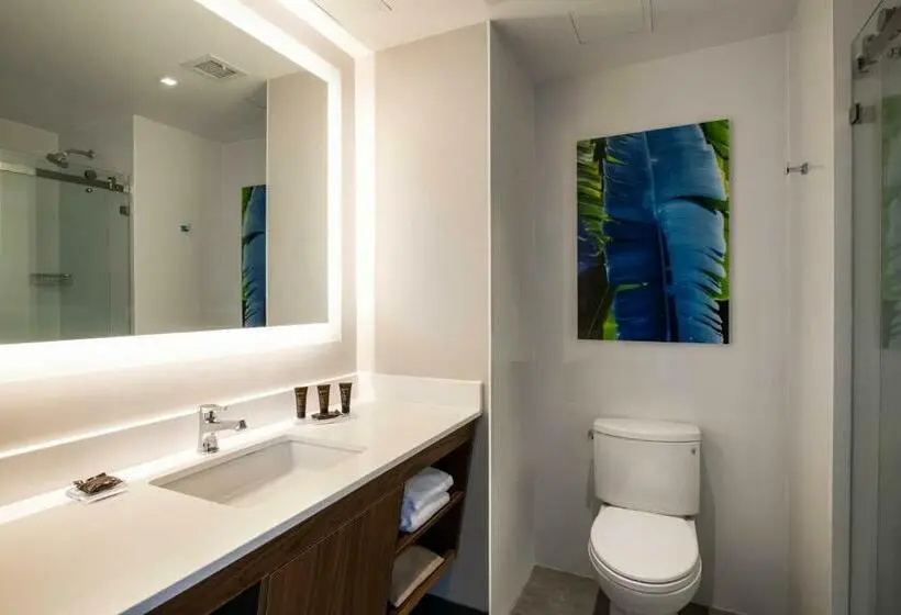 سوئیت با تخت بزرگ, Wingate By Wyndham Long Island City