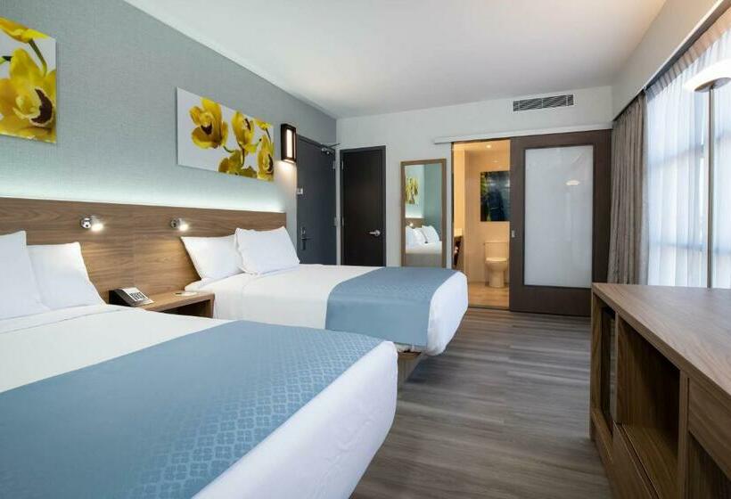 带2个双人床的标准工作室, Wingate By Wyndham Long Island City