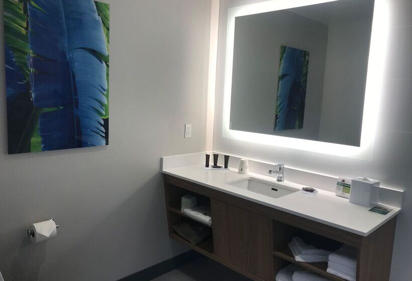 Номер Стандарт 2 Двуспальные Кровати, Wingate By Wyndham Long Island City