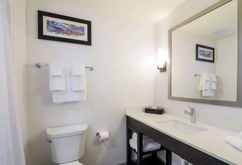 スイート, Comfort Inn & Suites Gulf Shores East Beach Near Gulf State Park