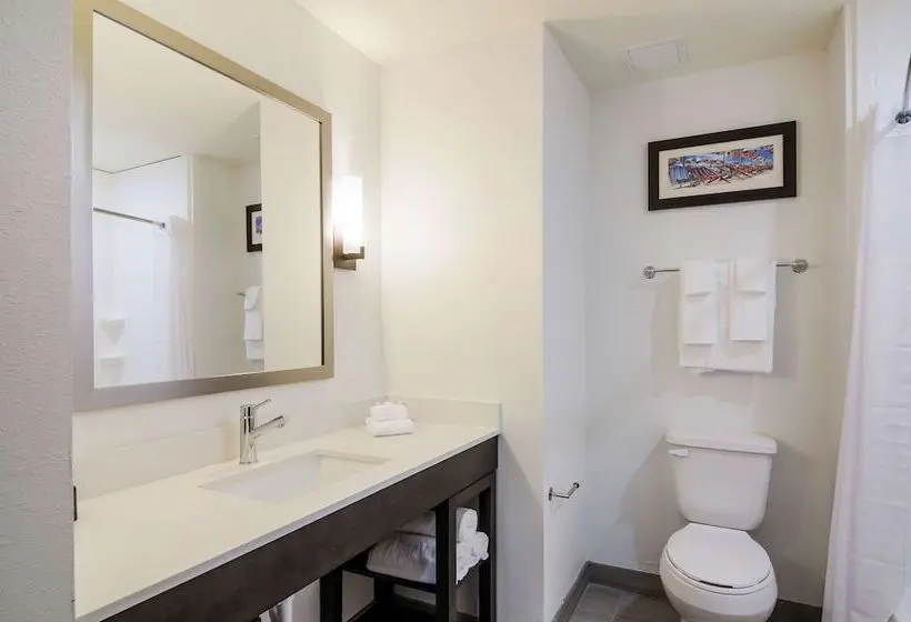 キングサイズベッドのスイートルーム, Comfort Inn & Suites Gulf Shores East Beach Near Gulf State Park