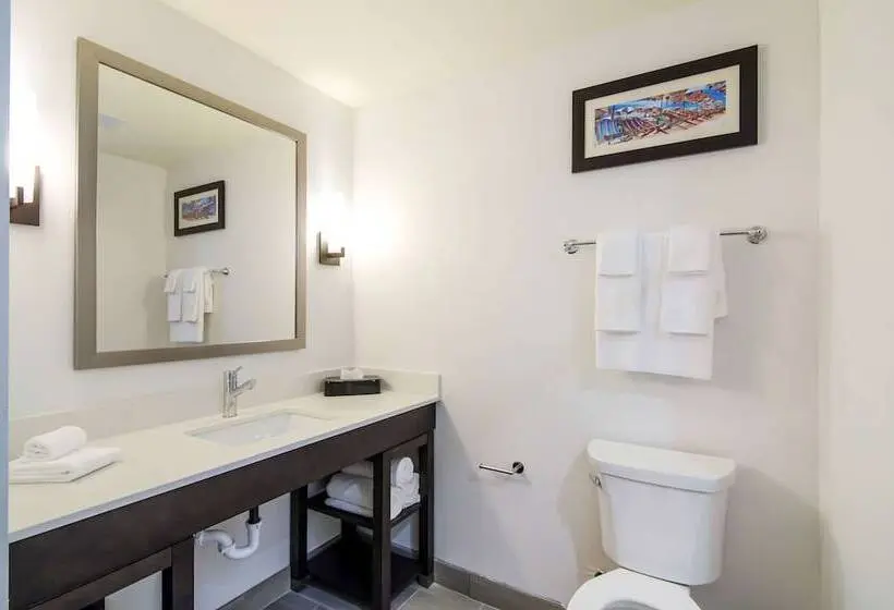 身障者適用スイートルーム, Comfort Inn & Suites Gulf Shores East Beach Near Gulf State Park