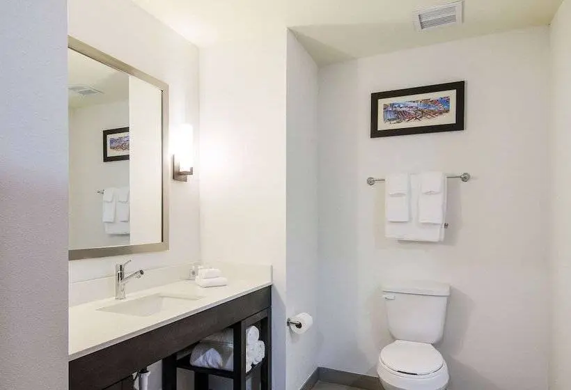 身障者適用スイートルーム, Comfort Inn & Suites Gulf Shores East Beach Near Gulf State Park