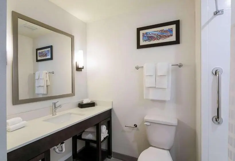 キングサイズベッドのスタンダードルーム, Comfort Inn & Suites Gulf Shores East Beach Near Gulf State Park
