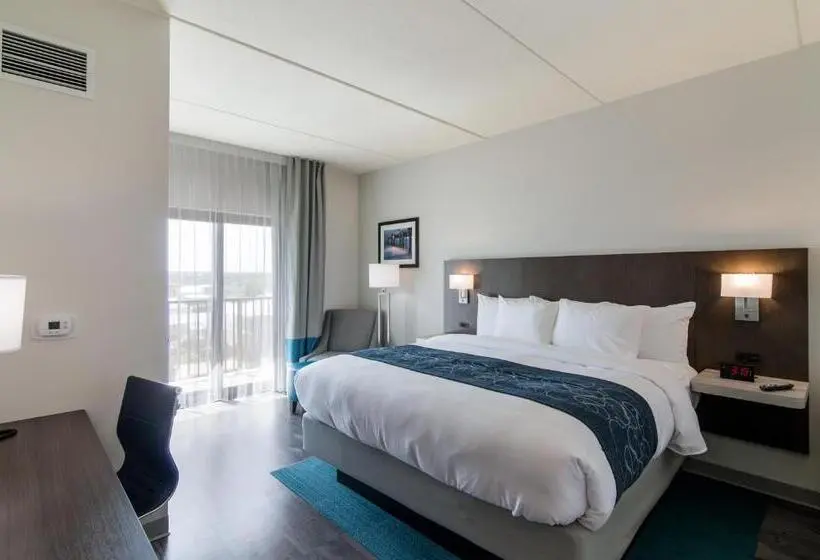 身障者適用キングサイズベッドルーム, Comfort Inn & Suites Gulf Shores East Beach Near Gulf State Park
