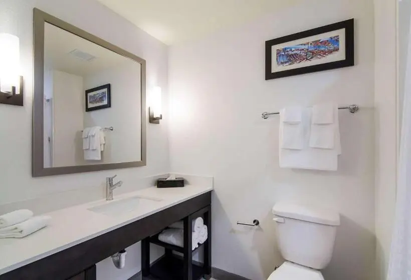 身障者適用キングサイズベッドルーム, Comfort Inn & Suites Gulf Shores East Beach Near Gulf State Park