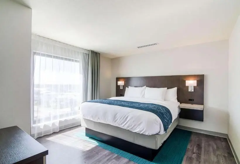 身障者適用キングサイズベッドルーム, Comfort Inn & Suites Gulf Shores East Beach Near Gulf State Park