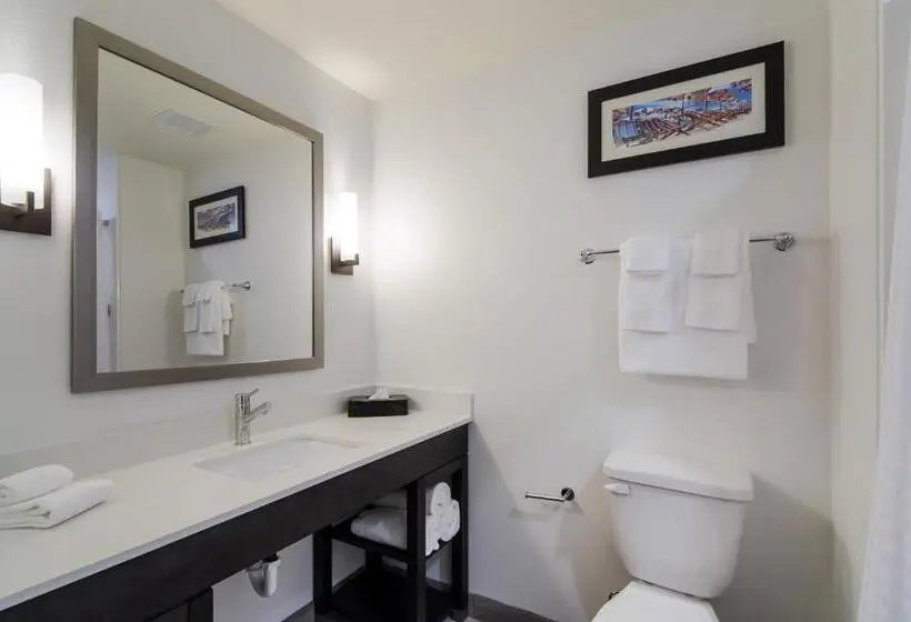 身障者適用スタンダードルーム, Comfort Inn & Suites Gulf Shores East Beach Near Gulf State Park