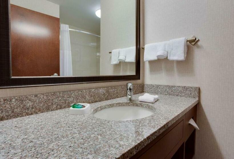 اتاق لوکس, Drury Inn & Suites Charlotte Arrowood