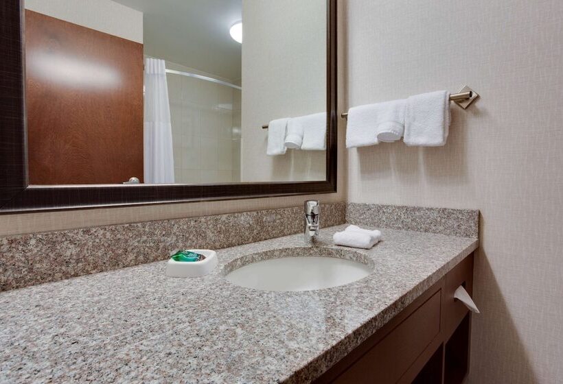 اتاق دلوکس مخصوص معلولین, Drury Inn & Suites Charlotte Arrowood