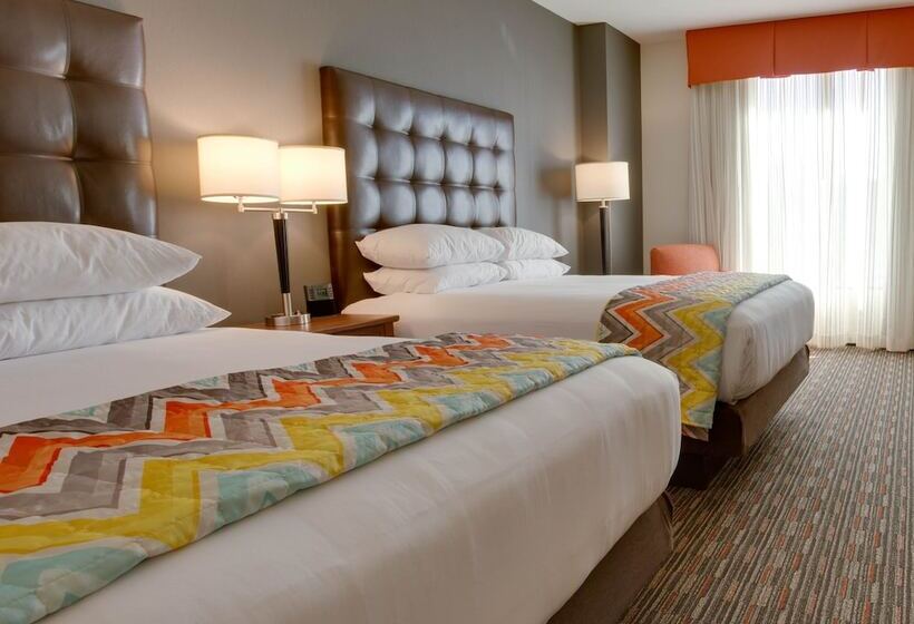 اتاق دلوکس مخصوص معلولین, Drury Inn & Suites Charlotte Arrowood