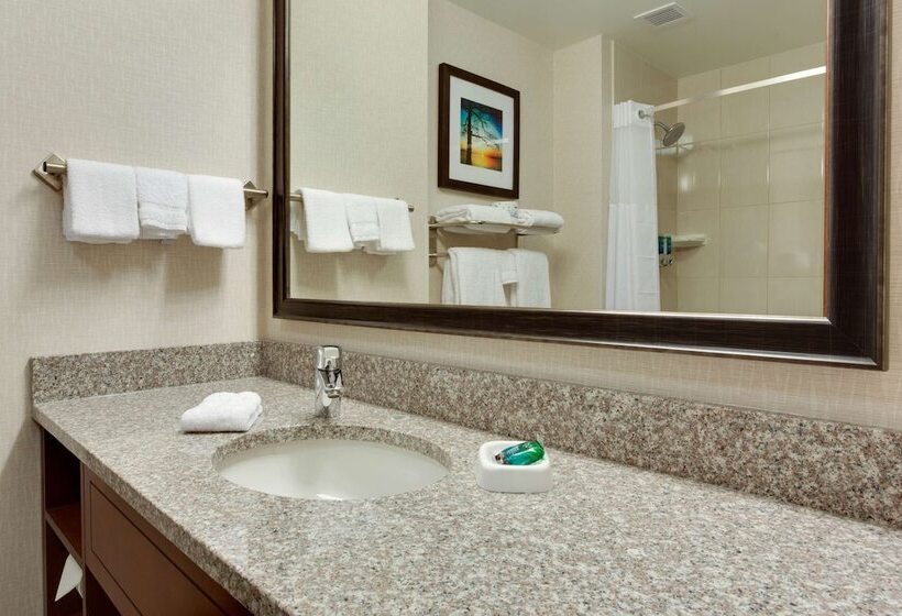 سوییت, Drury Inn & Suites Charlotte Arrowood