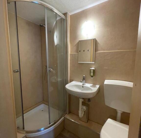 اتاق استاندارد با سرویس بهداشتی مشترک, Interlaken Linda Inn Lodge