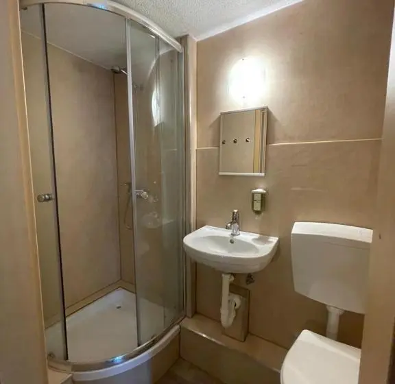 اتاق استاندارد با سرویس بهداشتی مشترک, Interlaken Linda Inn Lodge