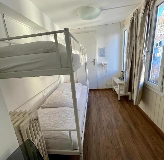 اتاق اکونومی, Interlaken Linda Inn Lodge